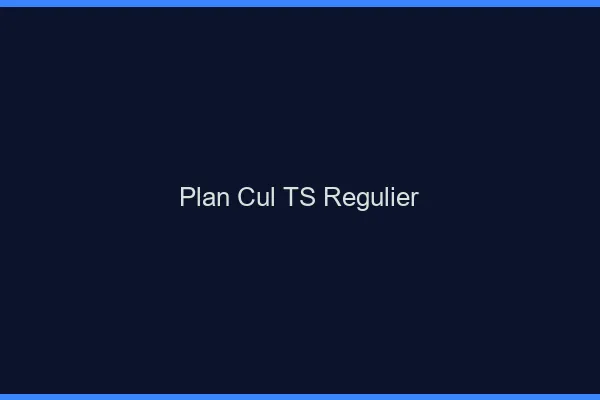 Plan cul TS régulier