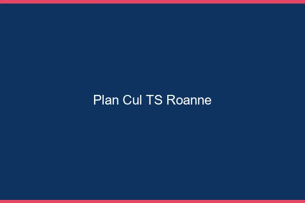 Plan cul TS Roanne