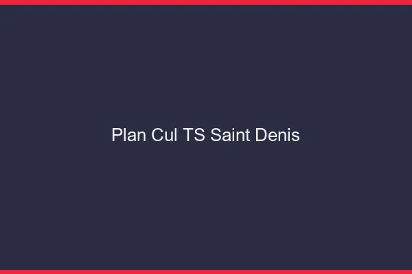 Plan cul TS Saint-Denis