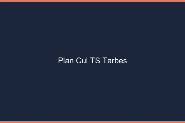 Plan cul TS Tarbes