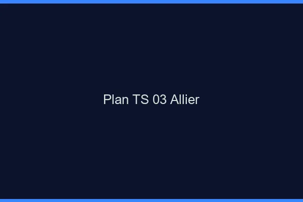 Plan TS 03 allier