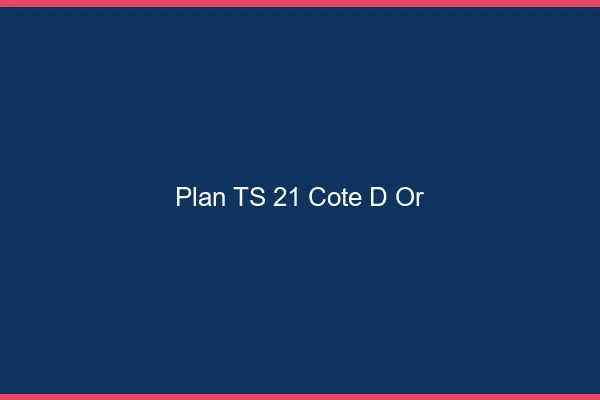 Plan TS 21 côte-d'or