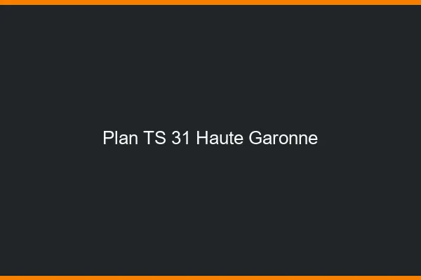 Plan TS 31 haute-garonne