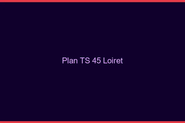 Plan TS 45 loiret