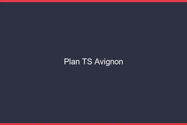 Plan TS Avignon