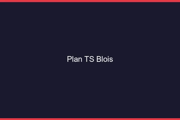 Plan TS Blois