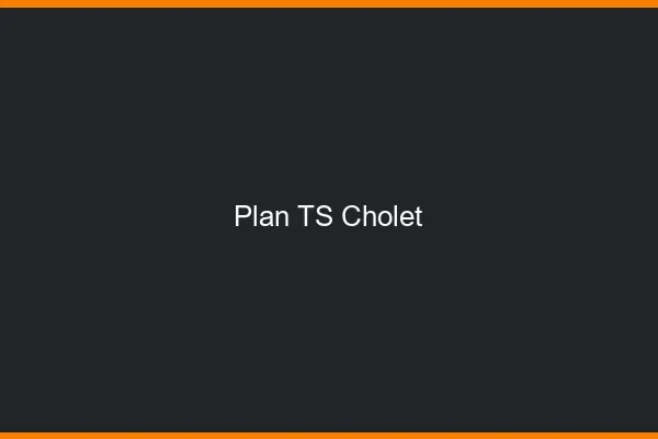Plan TS Cholet