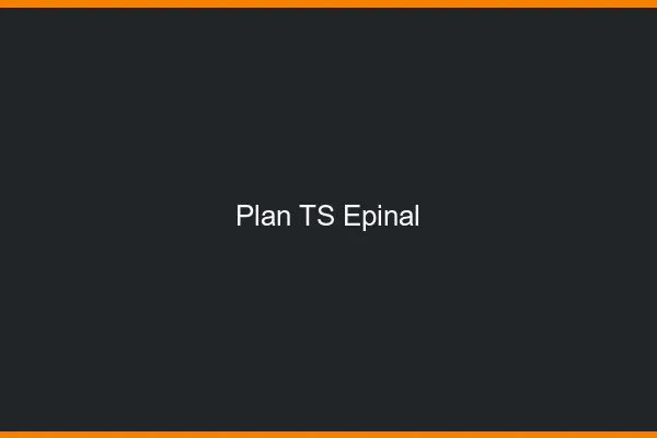 Plan TS Épinal