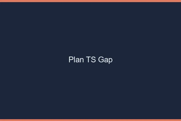 Plan TS Gap