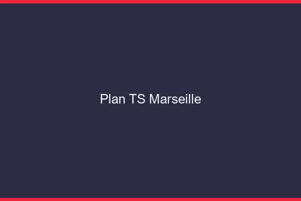 Plan TS Marseille