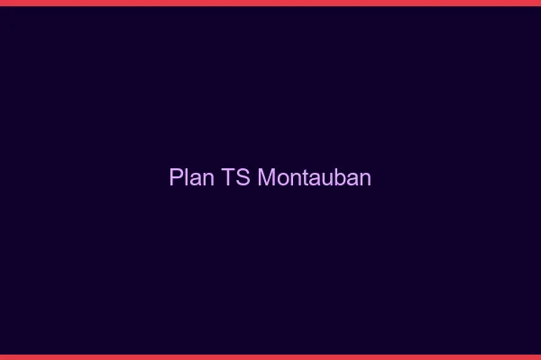 Plan TS Montauban