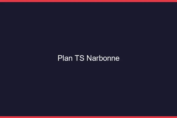 Plan TS Narbonne