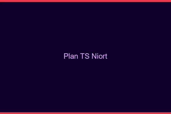 Plan TS Niort