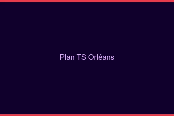 Plan TS Orléans
