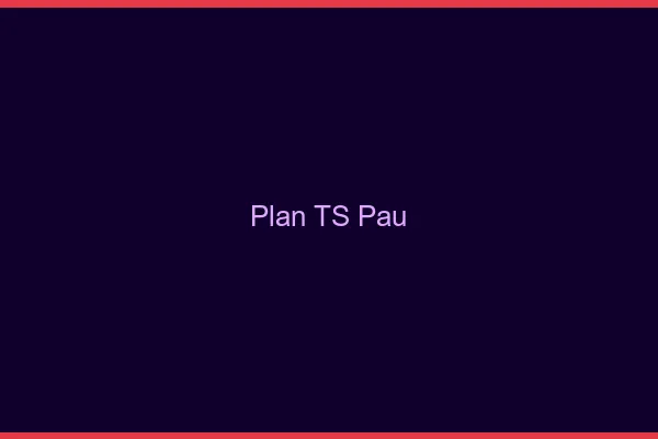 Plan TS Pau