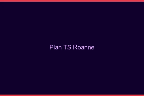 Plan TS Roanne