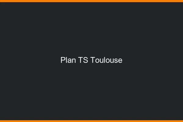 Plan TS Toulouse
