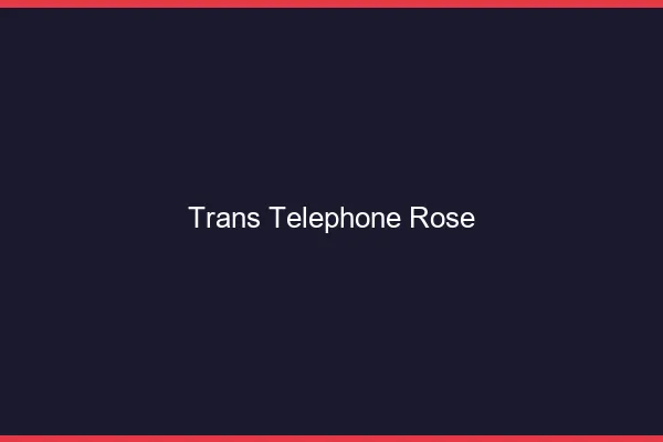 Trans téléphone rose