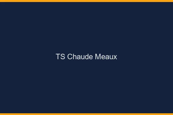 TS chaude Meaux