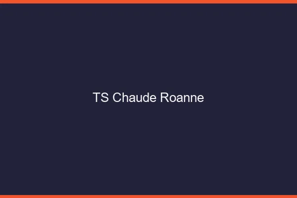 TS chaude Roanne