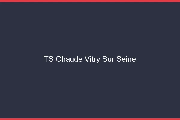 TS chaude Vitry-sur-Seine
