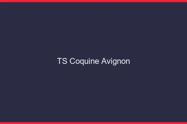 TS coquine Avignon