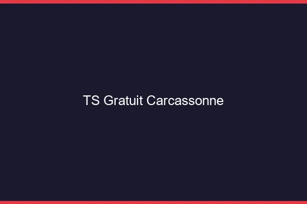 TS gratuit Carcassonne