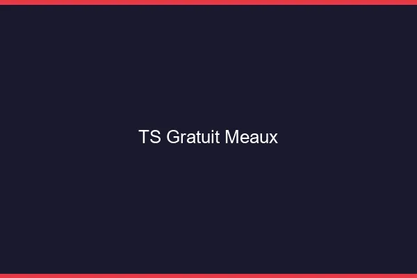 TS gratuit Meaux