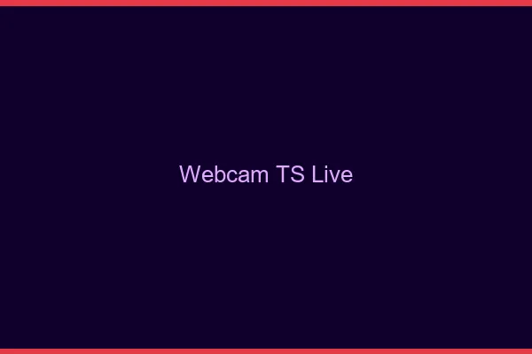 Webcam TS live